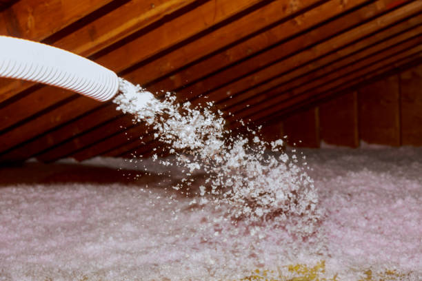 Best Residential Insulation in El Lago, TX
